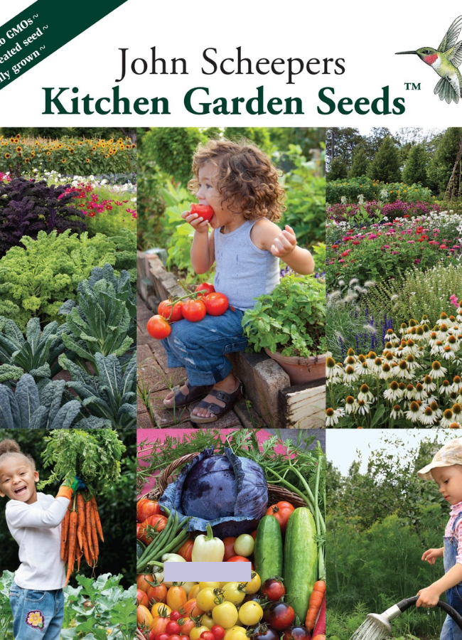 Free E Catalog Kitchen Garden Seeds 2022   Forofficialcatalogupdates(20) 