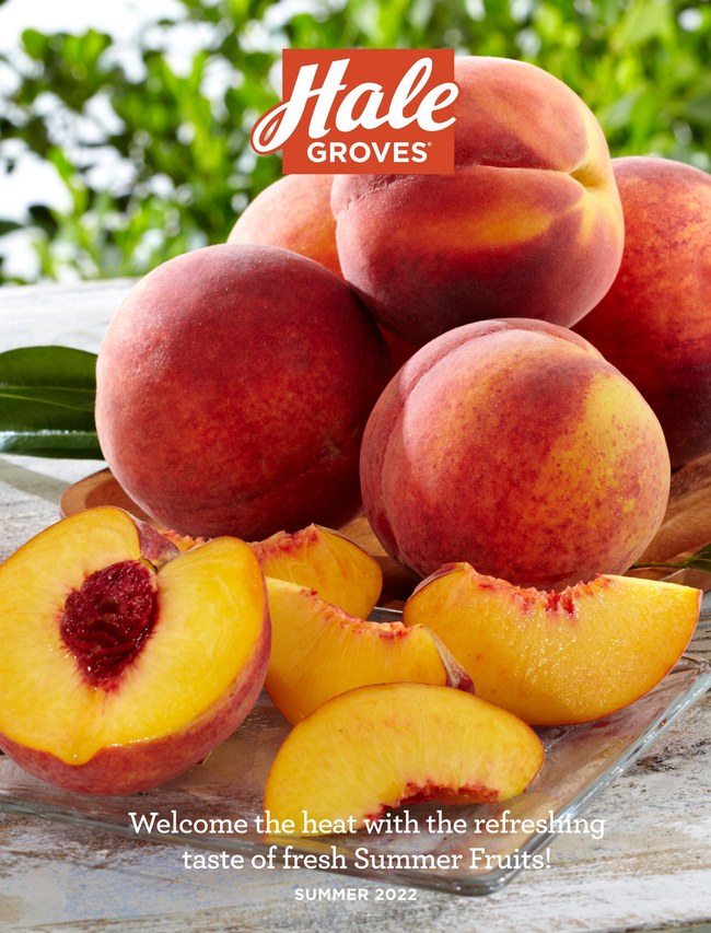 Free Catalog Figi’s Gallery 2021 Mail Order Catalog Request