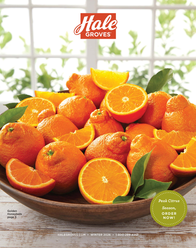 Hale Groves Catalog Cover