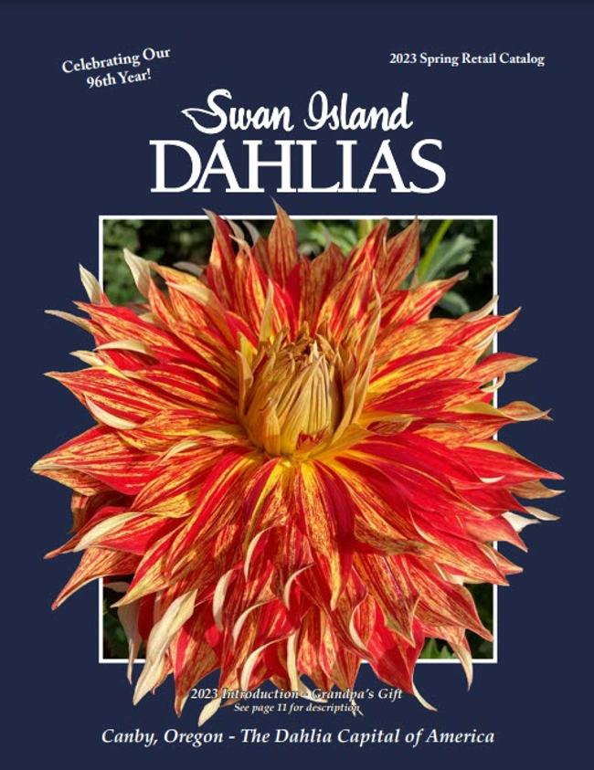 Swan Island Dahlias Catalog Cover