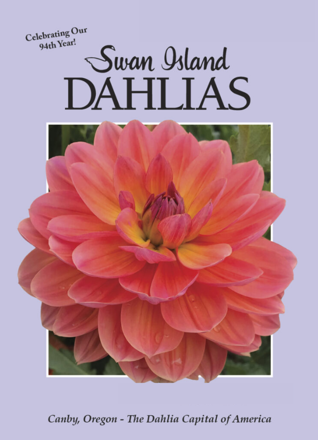 Swan Island Dahlias Catalog Cover