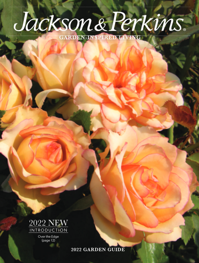 Free Catalog Jackson & Perkins 2022 Mail Order Catalog Request