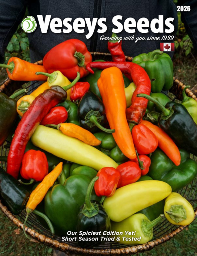 Veseys Catalog Cover