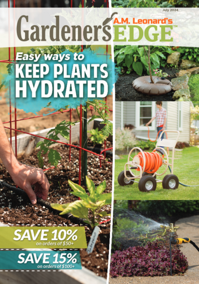 Free Catalogs by Mail and Online