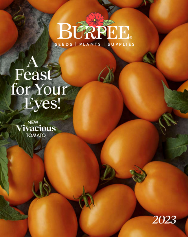 Burpee Catalog Cover