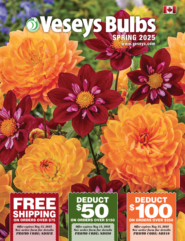 Veseys Bulbs Catalog Cover