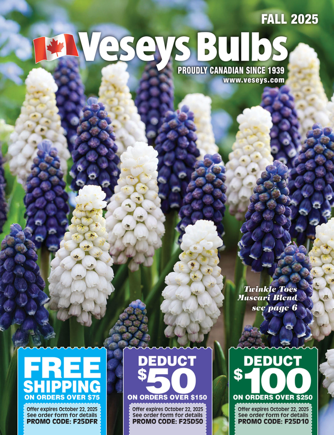 Veseys Catalog Cover