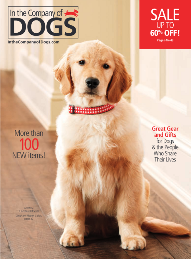 In The Company of Dogs Catalog Cover