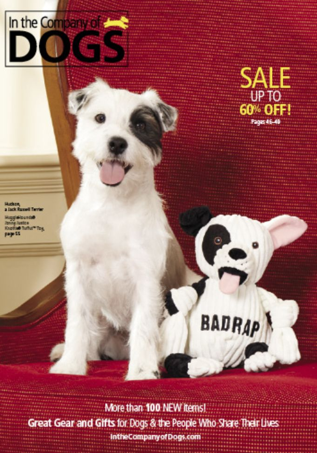 In The Company of Dogs Catalog Cover