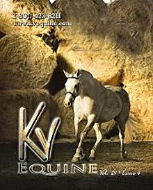 Picture of horse supplies from KV Vet Supply-Equine Catalog catalog