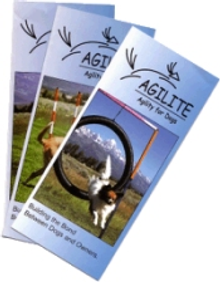 Picture of dog agility equipment from Agilite - Agility for Dogs catalog