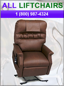 Picture of electric lift chairs from All Lift Chairs catalog
