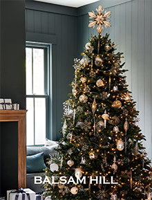 Picture of pre lit trees from Balsam Hill Christmas Tree Co catalog