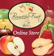 Picture of fruit gifts from Bountiful Fruit catalog