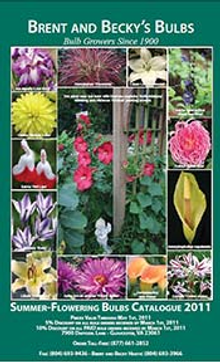 Picture of flower bulb catalogs from Brent and Becky's Bulbs catalog