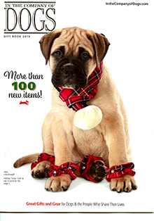 Picture of leather dog harness from In The Company of Dogs - Potpourri Group catalog