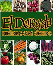 Picture of heirloom seed catalogs from El Dorado Heirloom Seeds catalog