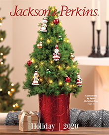Picture of jackson and perkins catalog from Jackson & Perkins catalog
