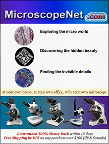 Picture of best microscopes from Microscopenet.com catalog