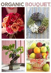 Picture of organic bouquet from Organic Bouquet catalog