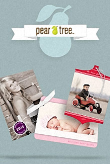 Picture of Pear Tree Greetings from Pear Tree Greetings catalog