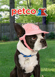 Picture of PETCO from Petco catalog