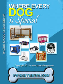 Picture of dog shop from PoochThings.com catalog