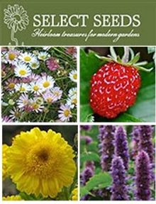 Picture of Select Seeds catalog from Select Seeds catalog