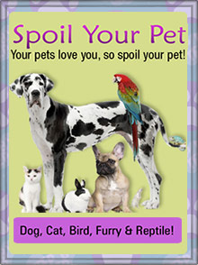 Picture of pet supply store from Spoil Your Pet catalog