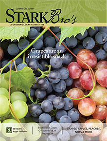 Picture of stark bros catalog from Stark Bro's catalog