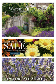 Picture of wayside gardens coupon from Wayside Gardens - J&P Park Acquisitions catalog