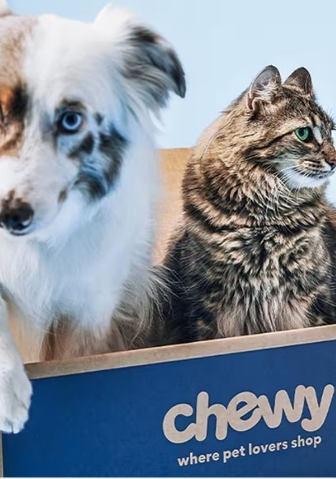 Request a Free Mail Order Chewy Catalog Pets and Supplies 2024