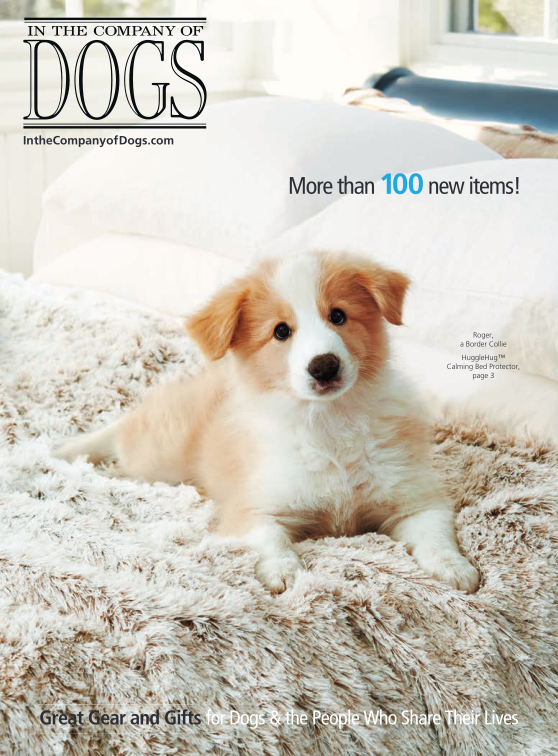 dog gift catalog