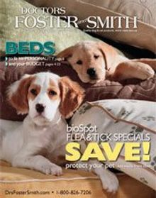 Doctors Foster and Smith for pet toys 