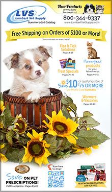 dog supply catalog companies