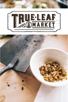 True Leaf Market Catalog Cover, Outdoor Living catalogs