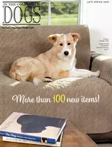 In The Company of Dogs Catalog Cover